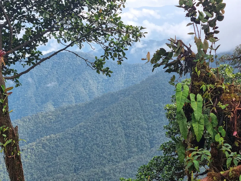 20240202_091820 copy