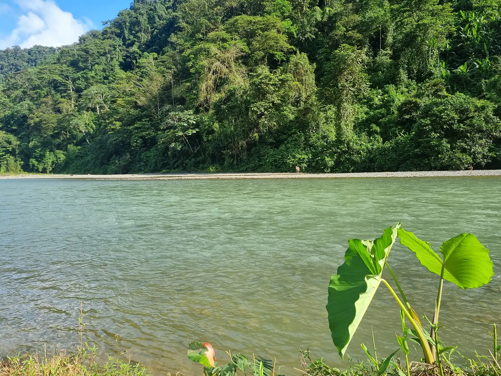 20240314_083316 copy