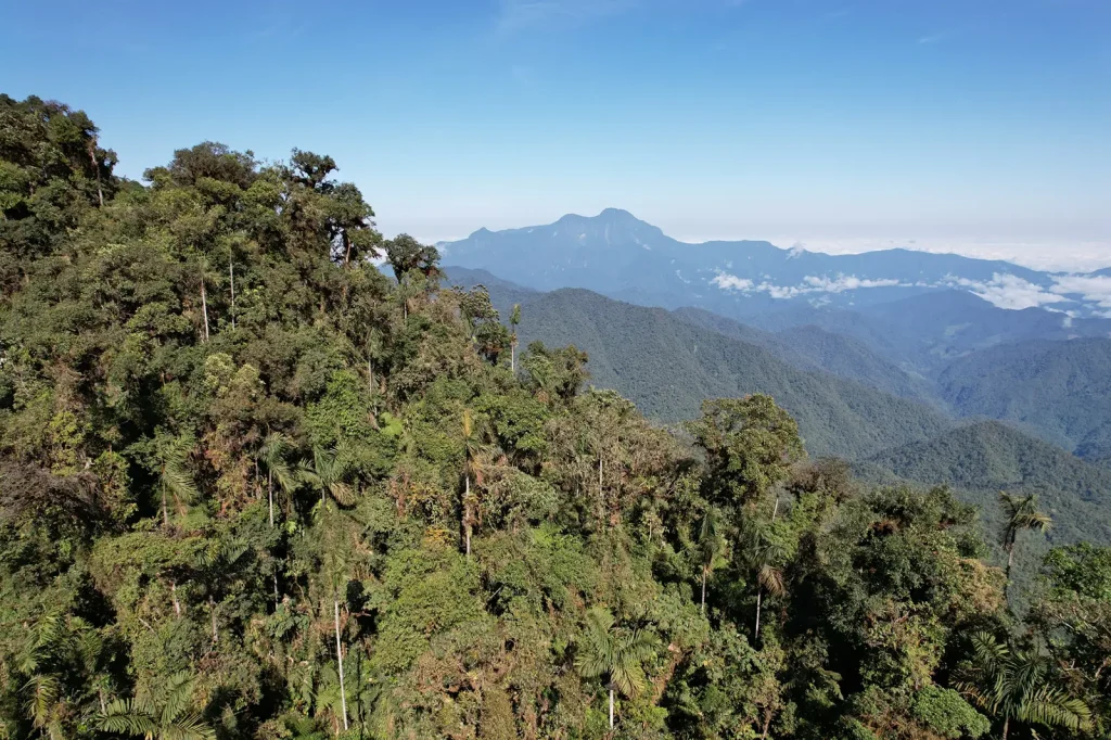 Serranía de los Paraguas