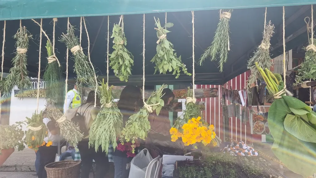 Mi cuerpo mi territorio en el Mercado campesino